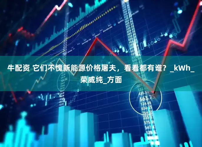 牛配资 它们不愧新能源价格屠夫，看看都有谁？_kWh_荣威纯_方面
