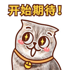 真牛所配资 第四期来啦！惠州公安常态化警营开放日惠东县局专场活动等你来约！