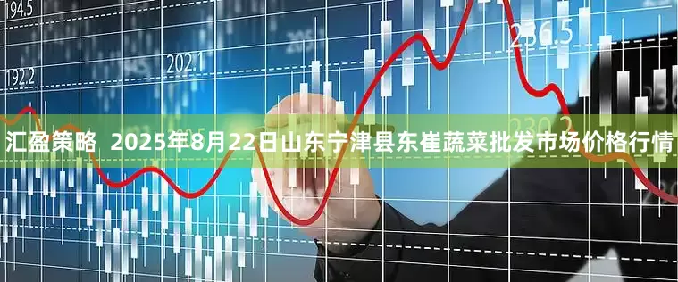 汇盈策略  2025年8月22日山东宁津县东崔蔬菜批发市场价格行情